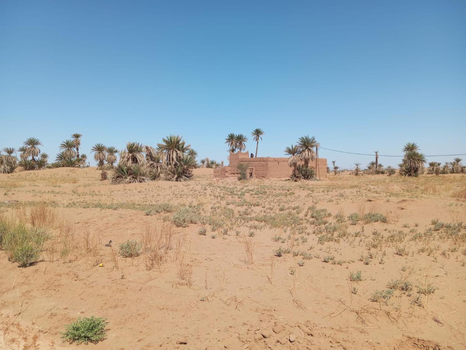 La Maison-Berbere Mhamid Luaran gambar