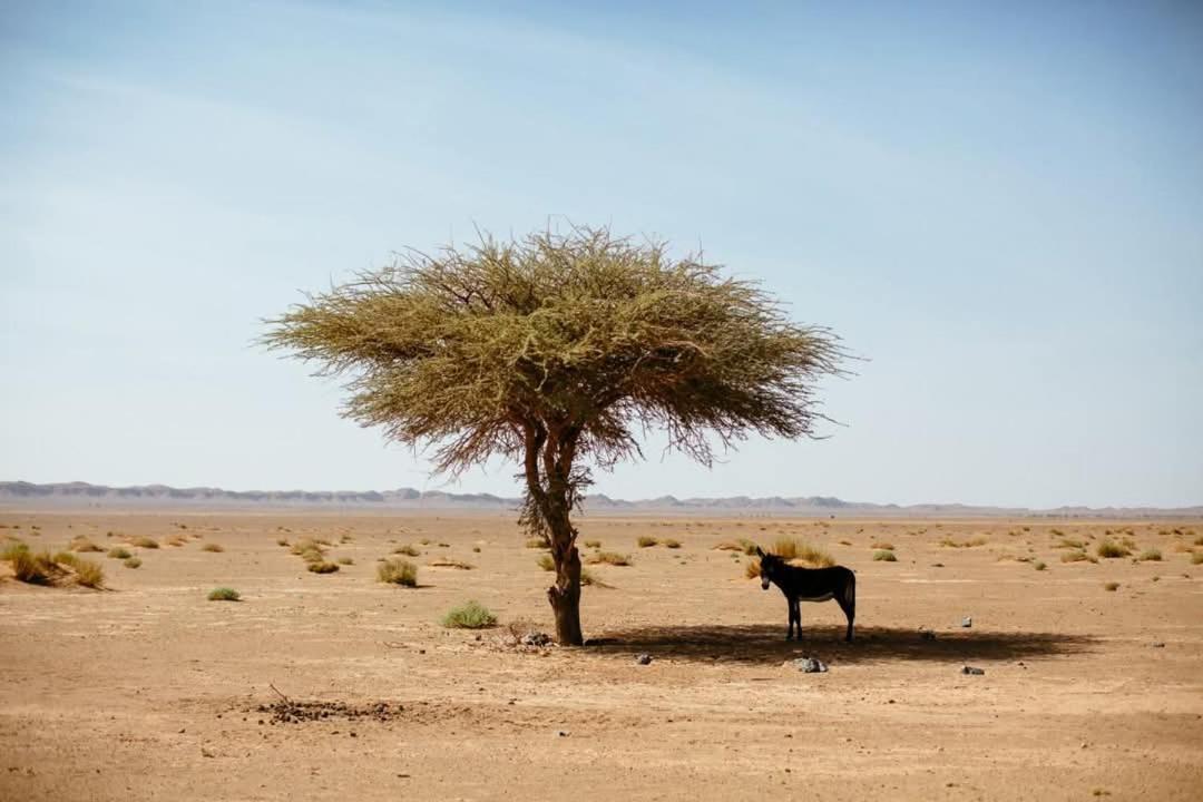 La Maison-Berbere Mhamid Luaran gambar